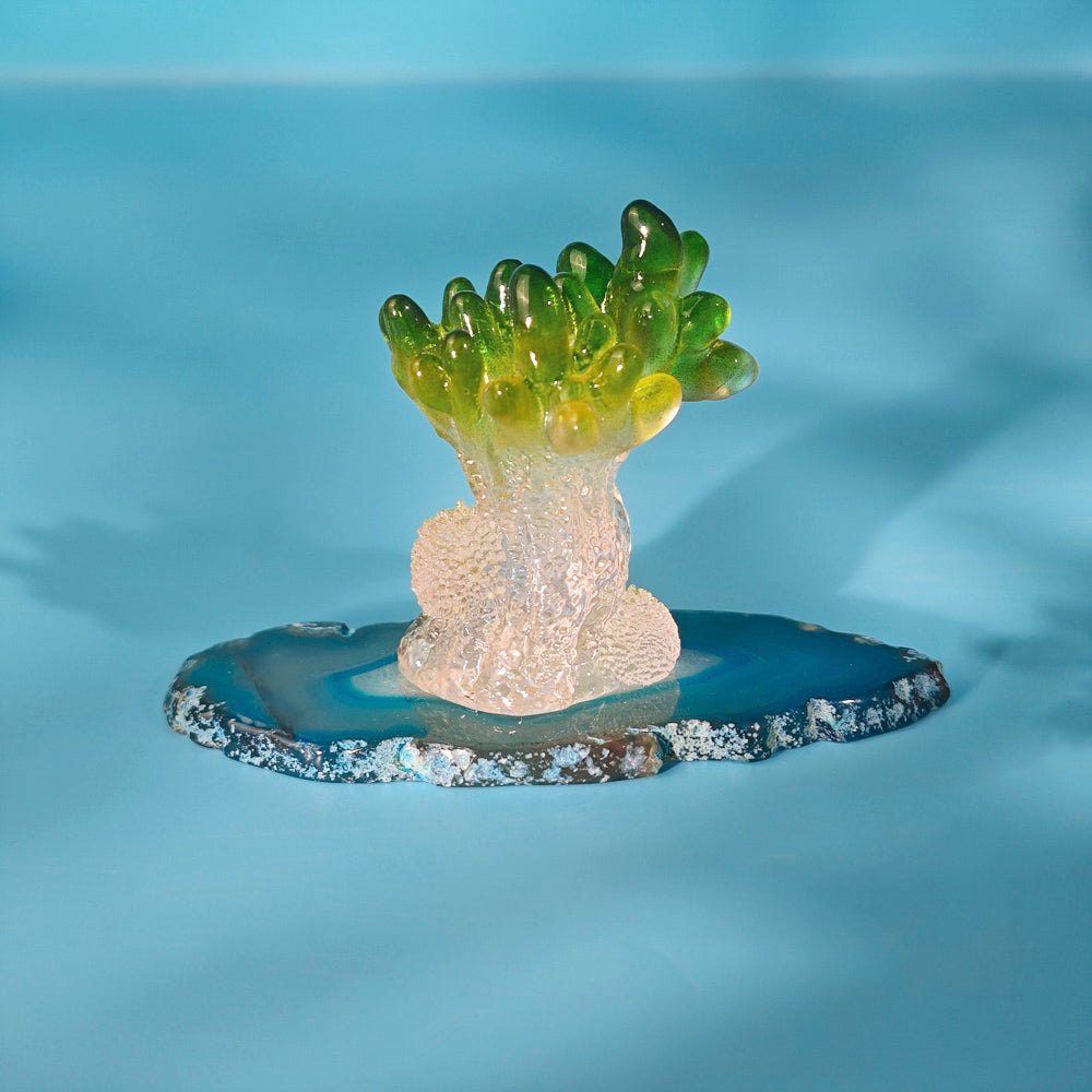 Ocean Series Multi-Color Plants Ornaments