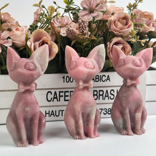 Pink opal cat