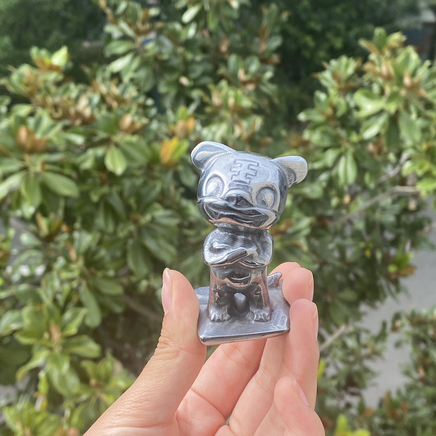 Terahertz Tiger