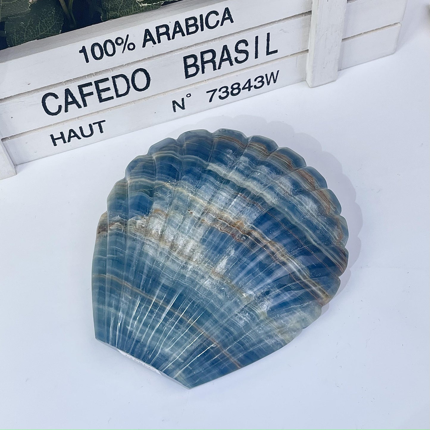 Blue onyx shell