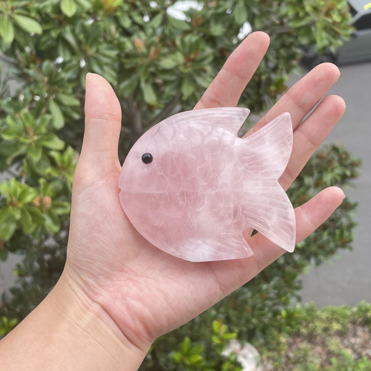 Rose quartz fish