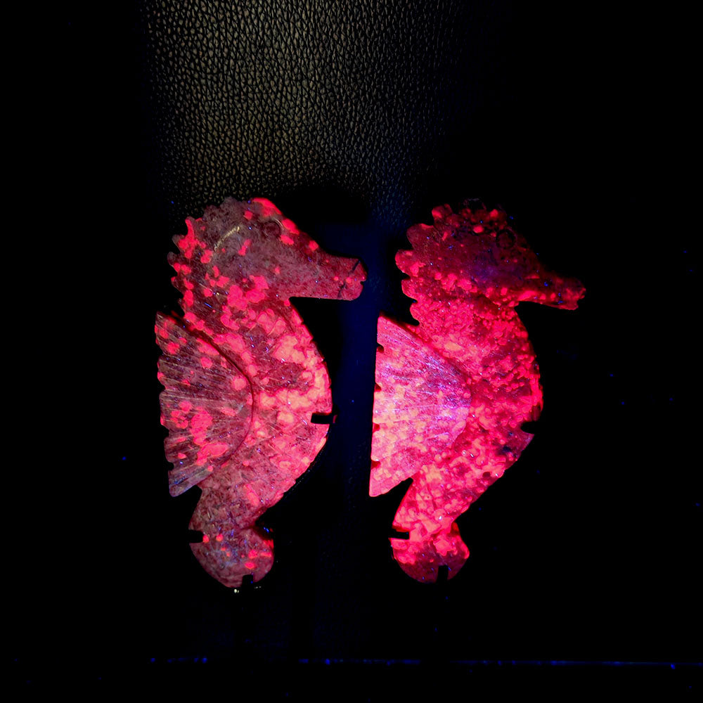 Ruby in Fuchsite Seahorse With Base