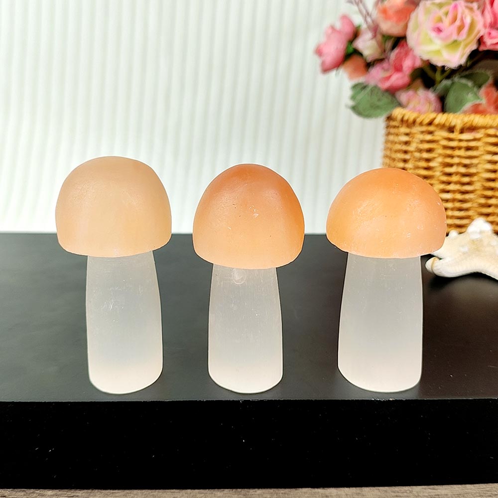 Selenite Mushroom Ornament-1KG