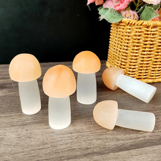 Selenite Mushroom Ornament-1KG