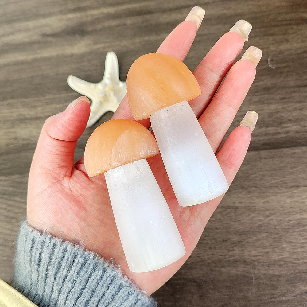 Selenite Mushroom Ornament-1KG