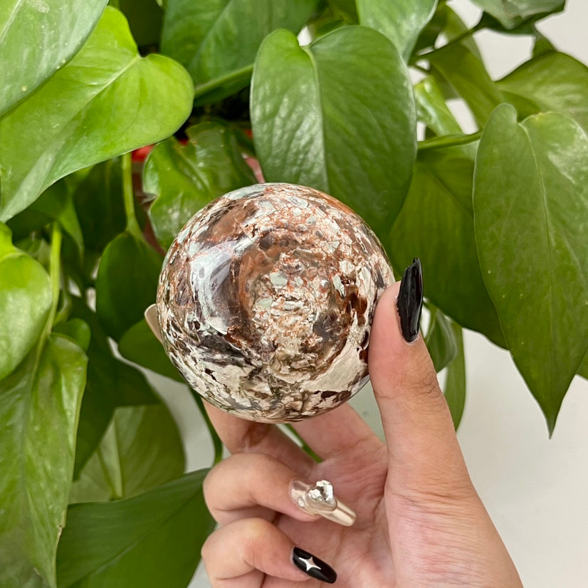1kg Wholesale Money Agate Sphere