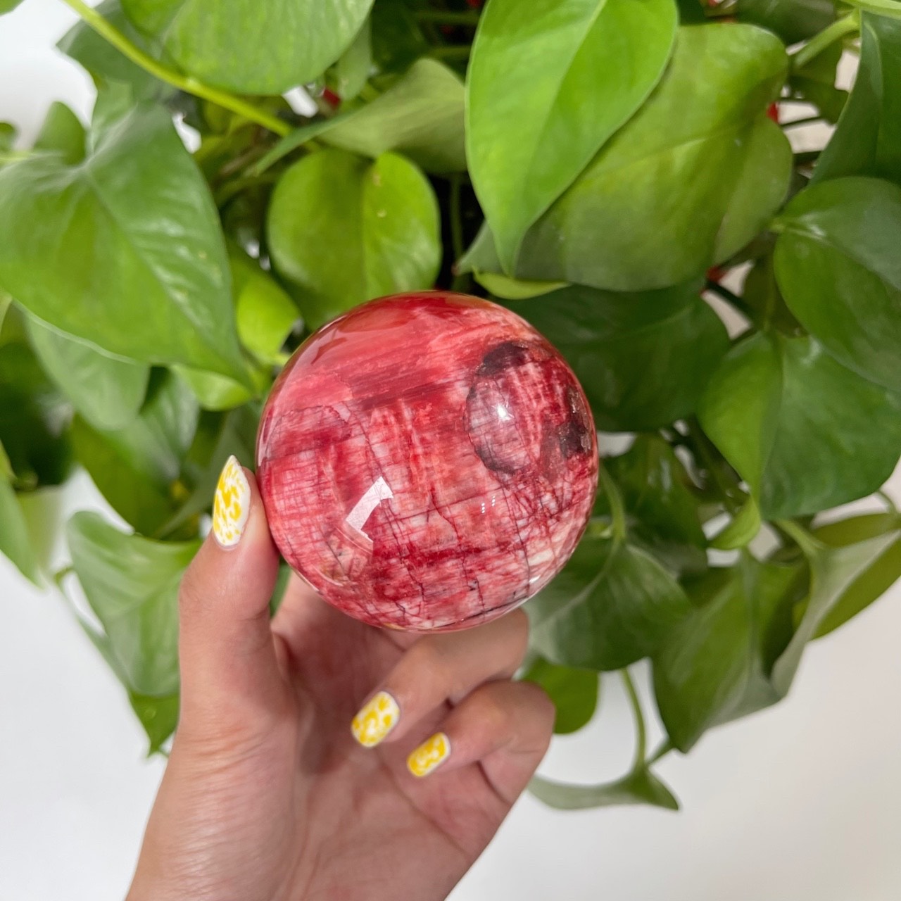 Wholesale Red Moon Stone Spheres