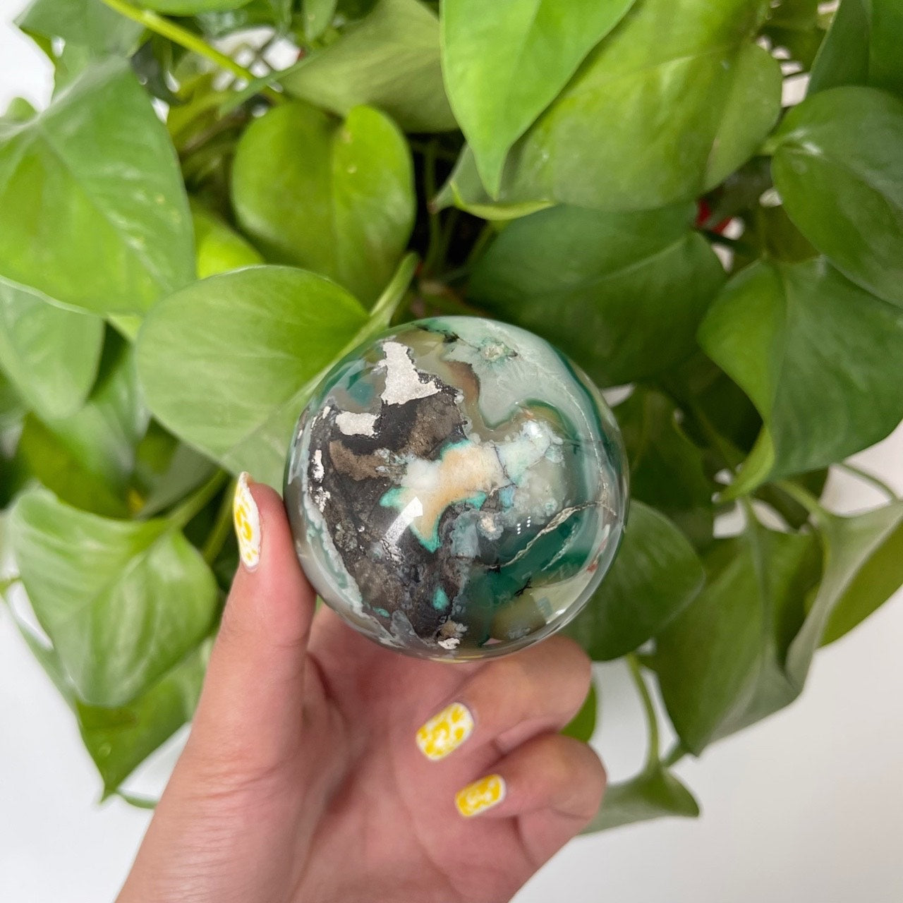 Green Flower Agate Spheres