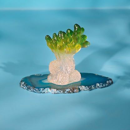 Ocean Series Multi-Color Plants Ornaments