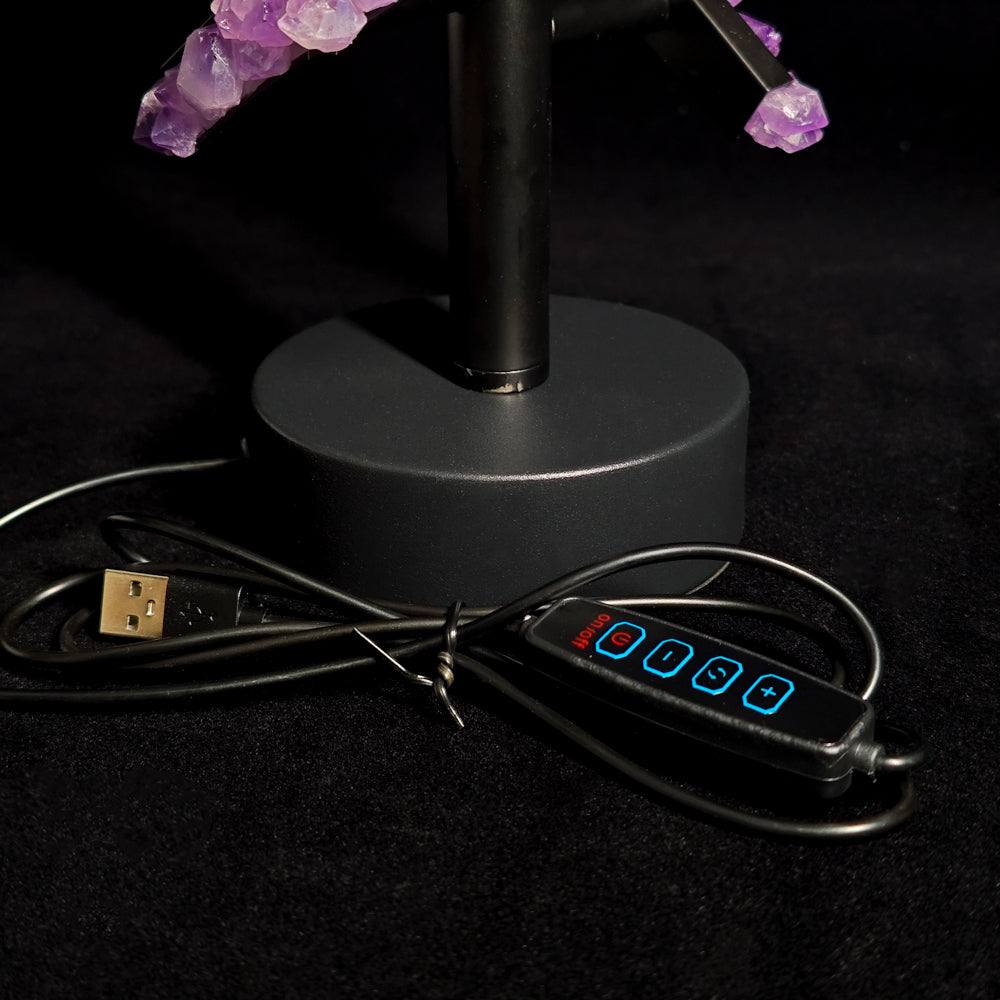 DNA Amethyst Seeds Lamp