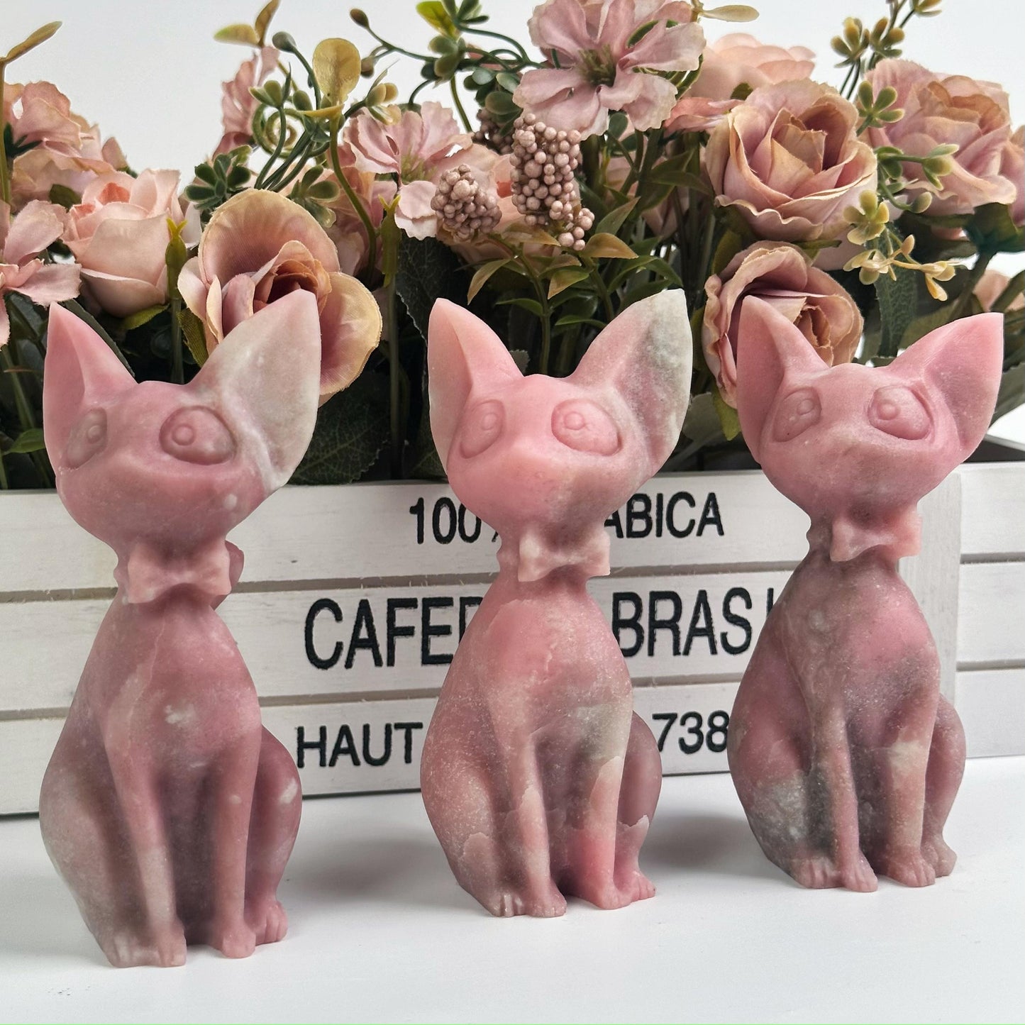 Pink opal cat