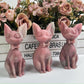 Pink opal cat