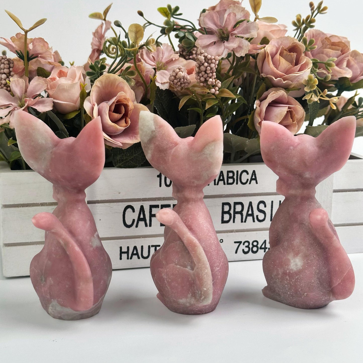 Pink opal cat