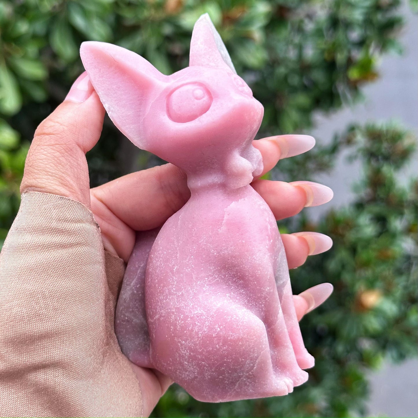 Pink opal cat