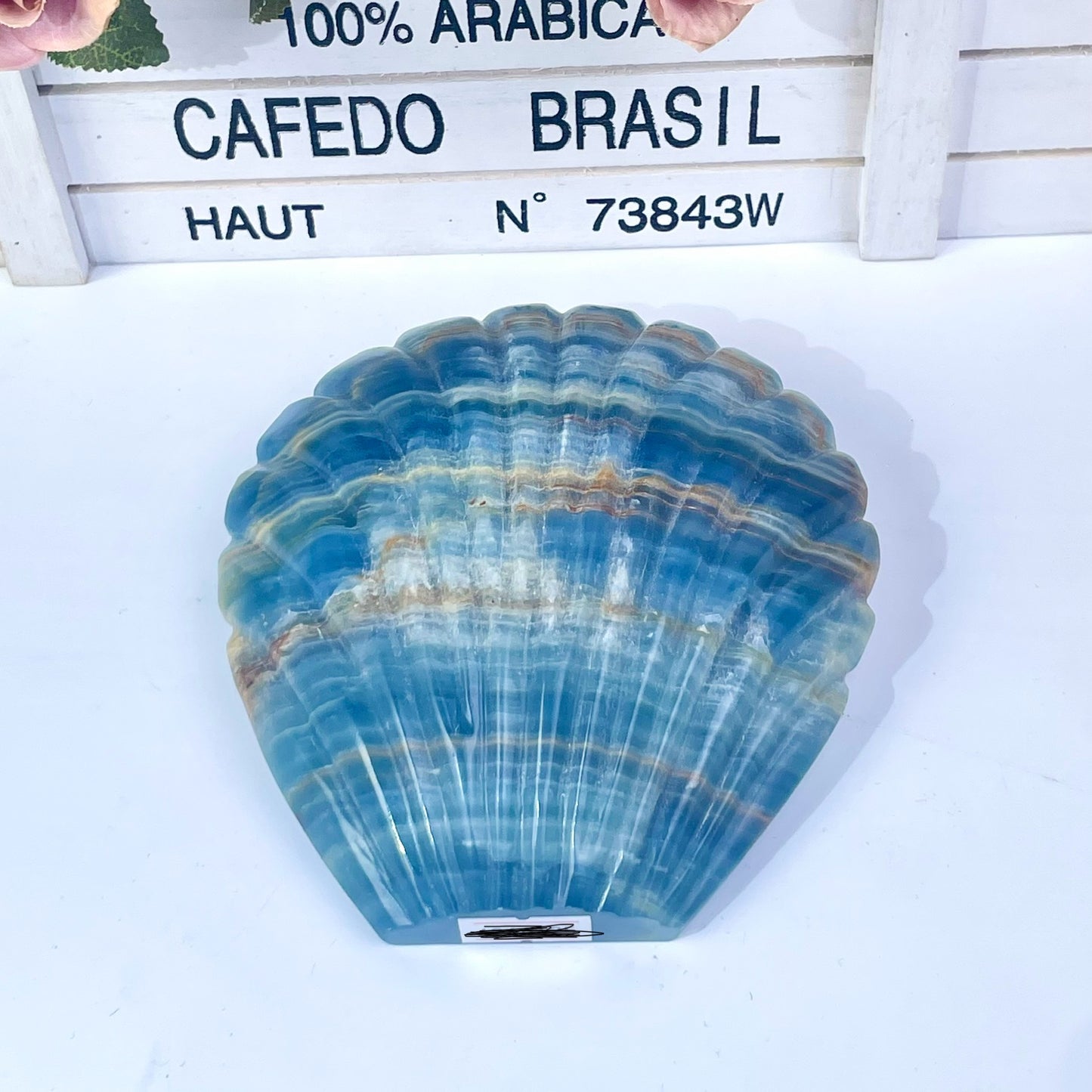 Blue onyx shell