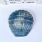 Blue onyx shell