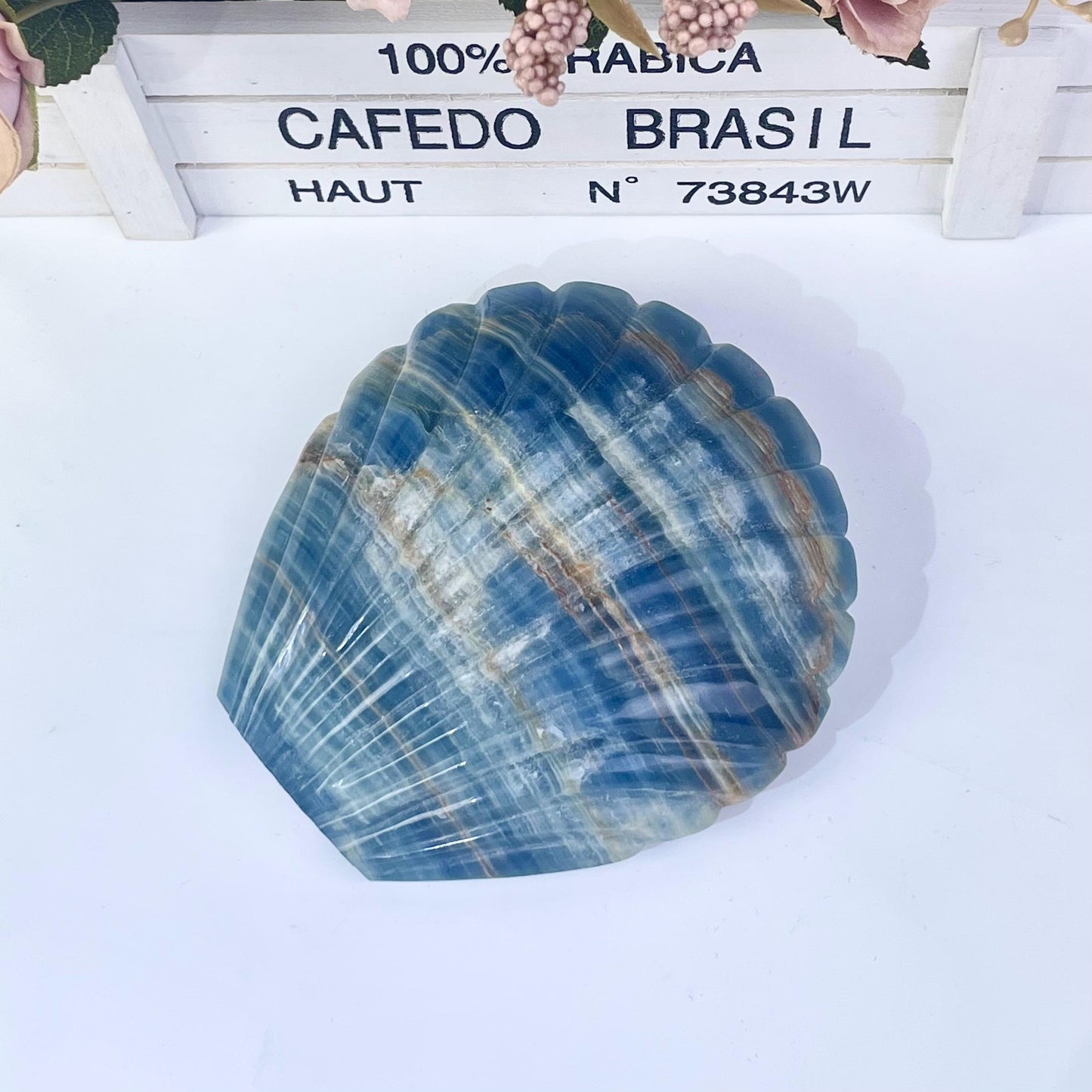 Blue onyx shell