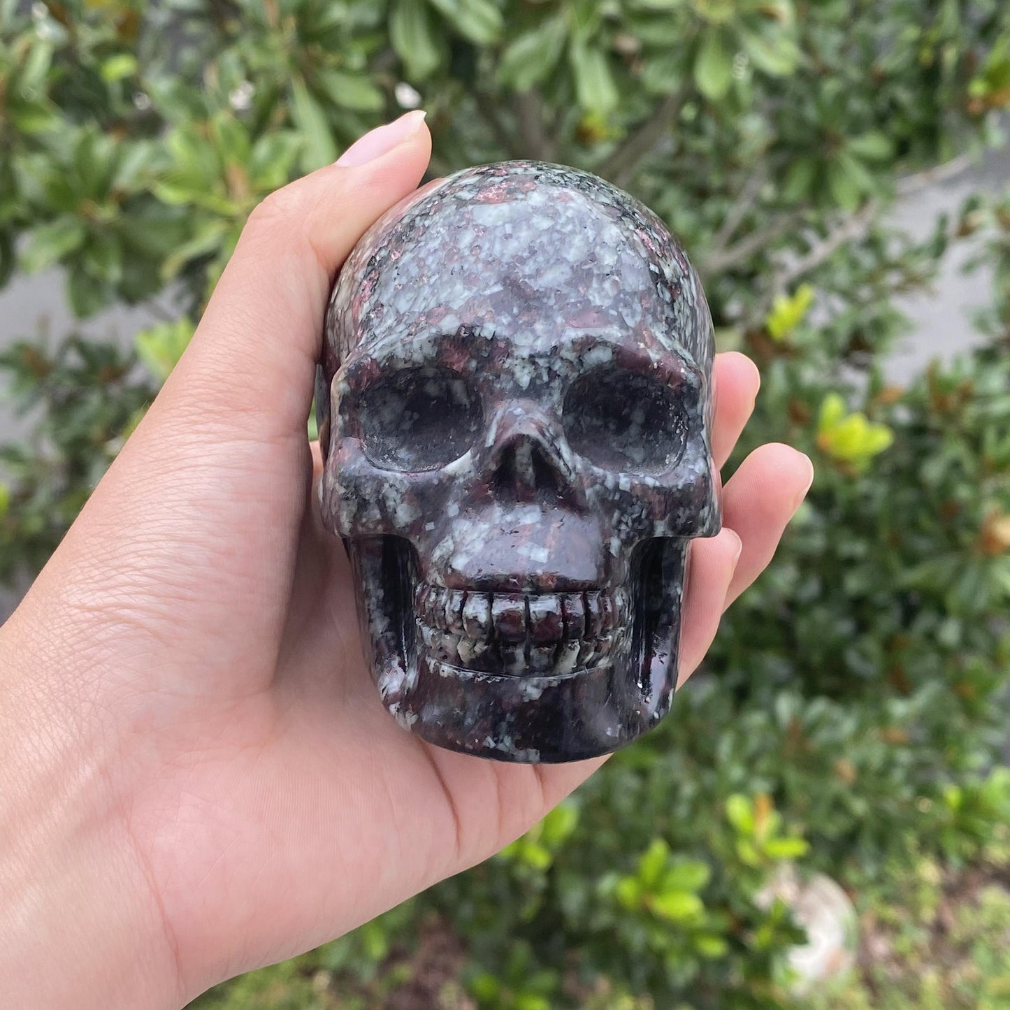 Granet Skull