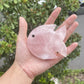 Rose quartz fish