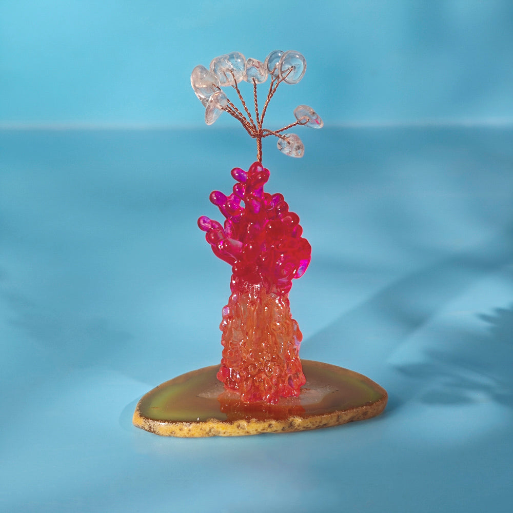 Ocean Series Multi-Color Plants Ornaments