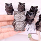 Silvery Obsidian Owl Carving