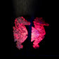 Ruby in Fuchsite Seahorse  With Base
