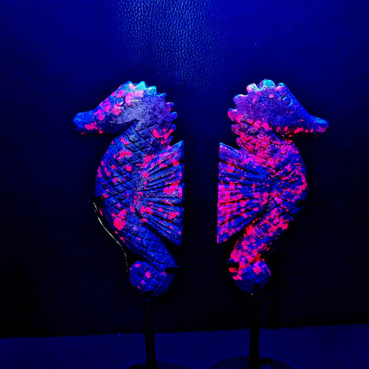 Ruby in Fuchsite Seahorse  With Base