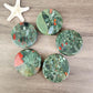 Blood Stone Circular Palm Stone-1KG