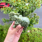Xiuyu Jade Elephant Animal Totem Spiritual Stone Crystal Ornaments Collection Crystal Healing