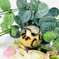 Wholesale Septarian Crystal Spheres Office Ornament